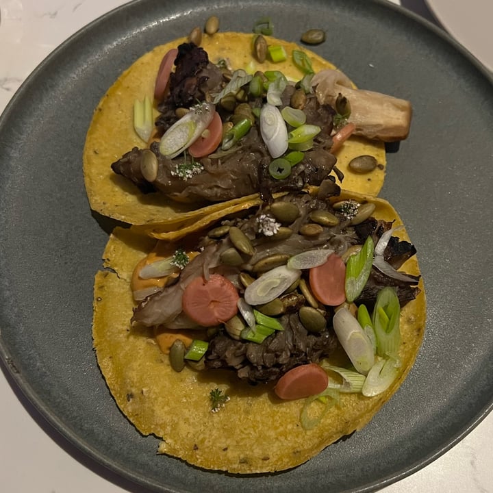 Pez Loco Restaurant & Tequila Bar Wynwood Art District, Miami, United