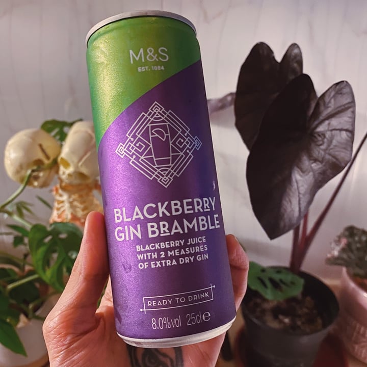 Marks & Spencer Food (M&S) Blackberry gin bramble Review abillion