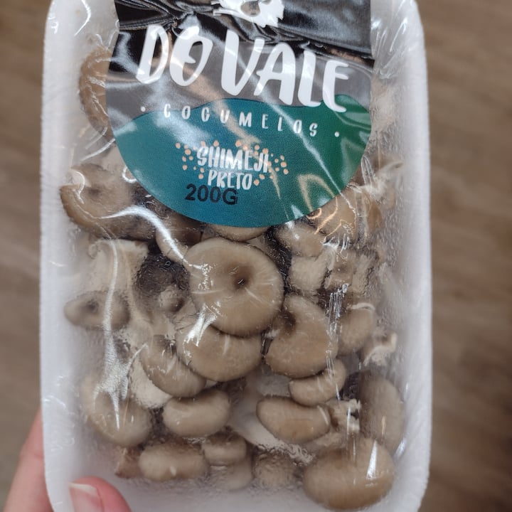 Do Vale Cogumelo Shimeji Review abillion
