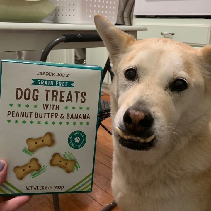Trader Joe's Grain Free Dog Treats with Peanut Butter & Banana Review