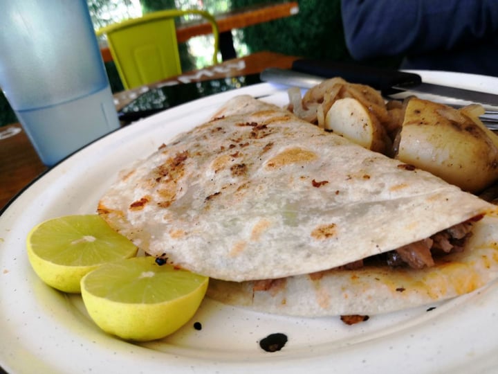 review photo of Revolucion Verde Pirata shared by @alejandraa8 on 13 Feb 2020 - review