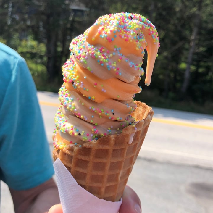 The Little Ice Cream Shop Black Point, Canada Vegan Soft Serve Review
