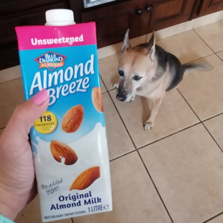 Blue Diamond Almond Milk Original Review abillion