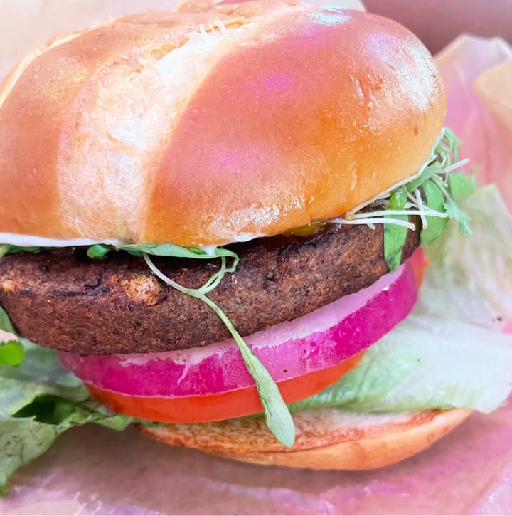 Sookie's Veggie Burgers StateLangdon, Madison, United States Chipotle Black Bean Burger Review