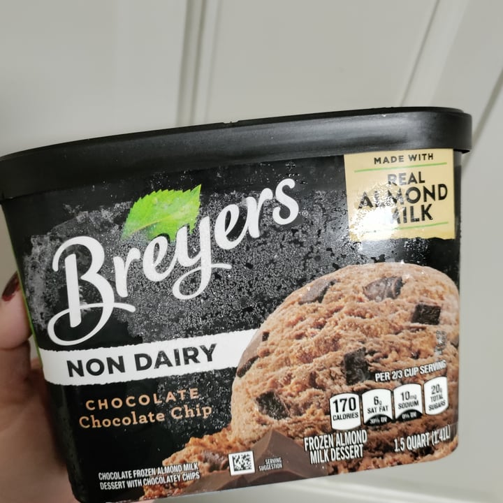 Breyers Chocolate Chocolate Chip Frozen Almond Milk Dessert Review
