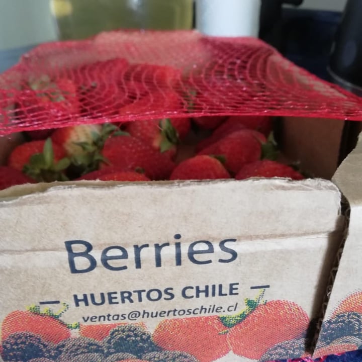 Huertos chile Reviews abillion
