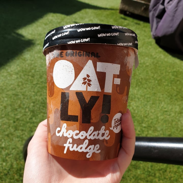 Oatly Chocolate Fudge Review abillion
