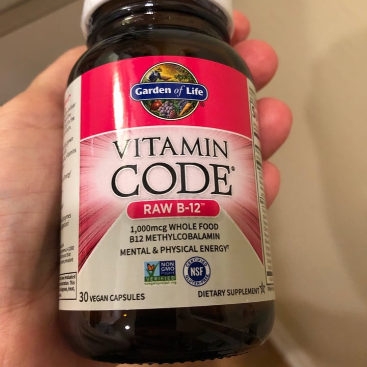 Garden of Life Raw B12 Review abillion