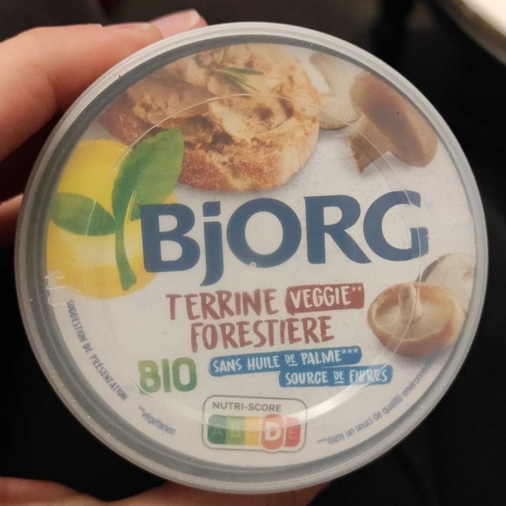 Terrine Forestière Review abillion