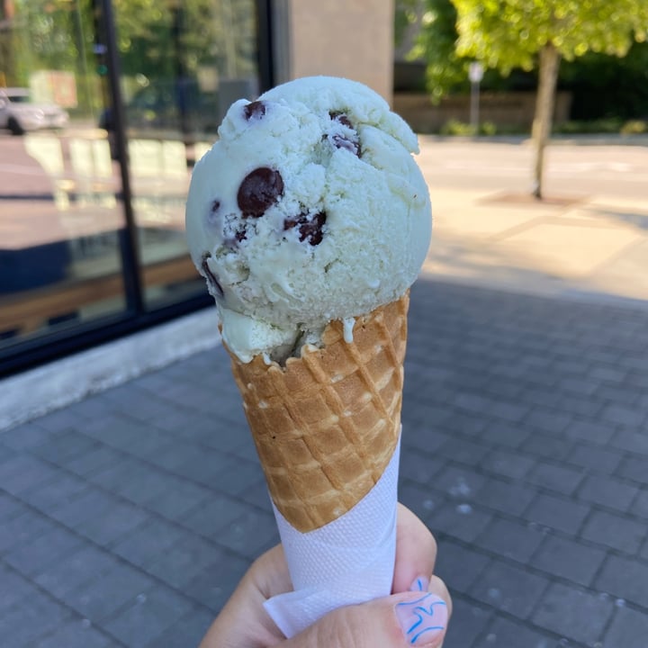 Rocky Point Ice Cream Plant Based Mint Chip Ice Cream Reviews abillion