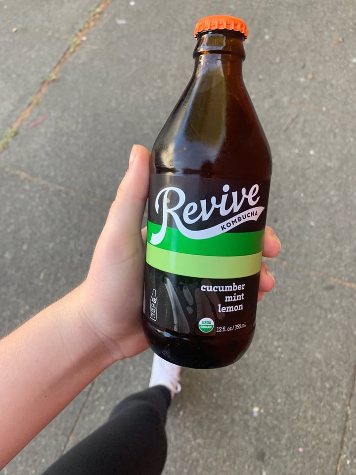 Revive Kombucha Reviews abillion