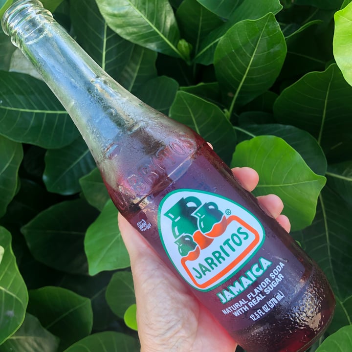 Jarritos Jamaica soda Review abillion