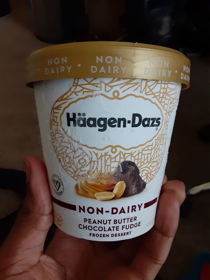 Häagen-Dazs Peanut Butter Chocolate Fudge Non-Dairy Review | abillion