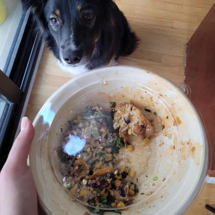 moonbowls (Healthy Korean Bowls River North) Near North Side, Chicago