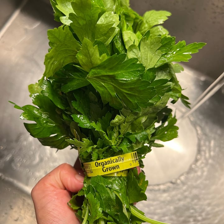 Whole Foods Market Organic Italian Parsley Review abillion