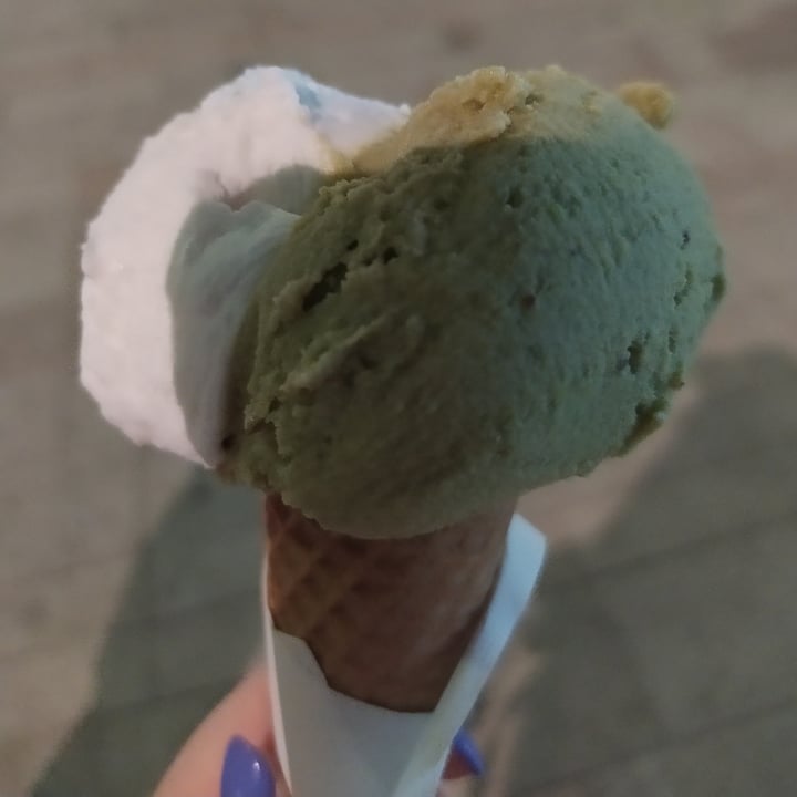 Vanilla Prelibata Gelateria Legnano, Italy Gelato Gusto Pistacchio