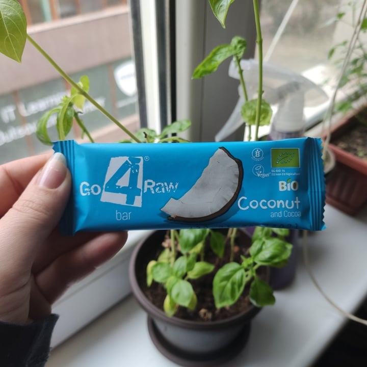 Go 4 Raw Coconut and cocoa raw bar Review abillion