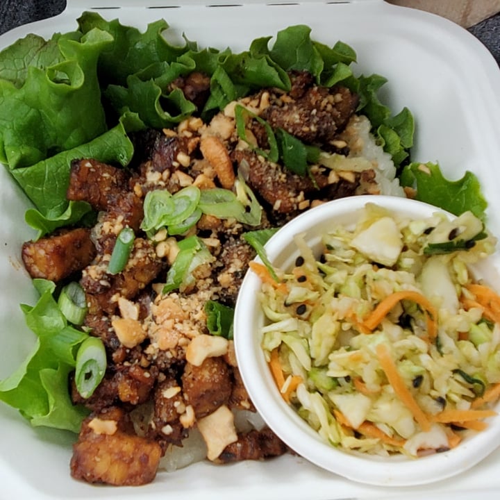 Planted PDX Southwest Portland, Portland, United States Indonesian