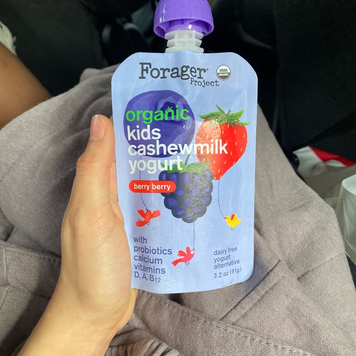 Forager Project organic kids’ cashewmilk yogurt berry berry Review ...