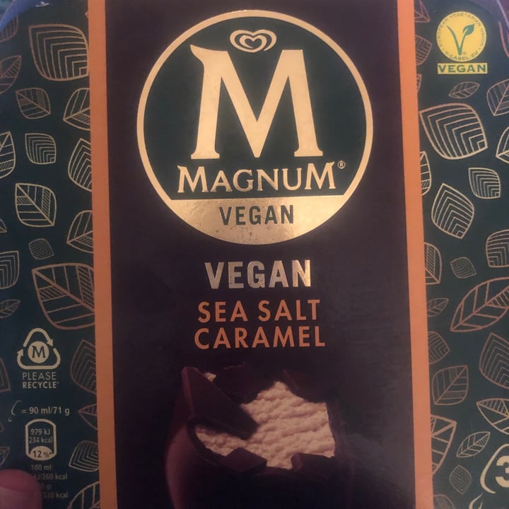 Magnum Dairy Free Sea Salt Caramel Review | abillion