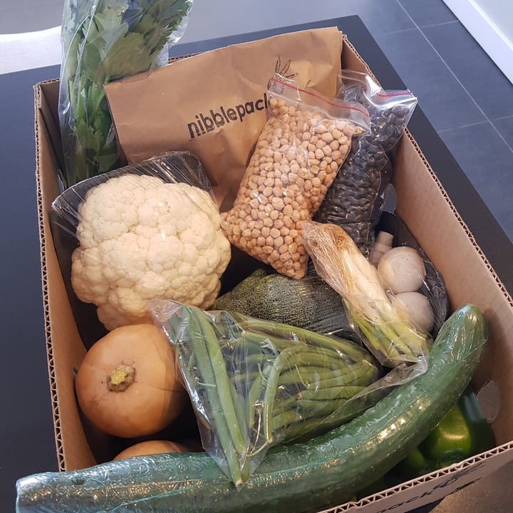 Nibblepack Vegan Box Review abillion