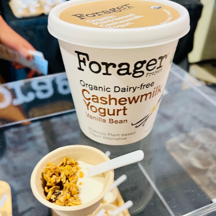 Forager Project Cashewmilk yogurt unsweetened vanilla Review abillion