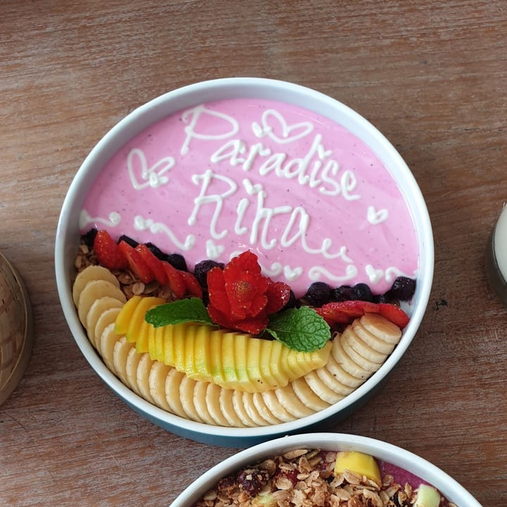 Clean Canteen Bali Paradise Bowl Reviews abillion