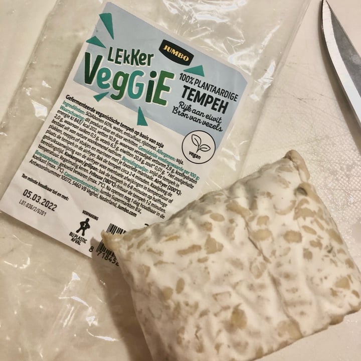 Jumbo Tempeh Reviews abillion