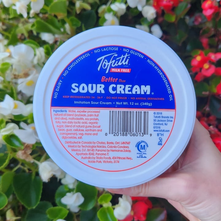 Tofutti Sour cream Review abillion