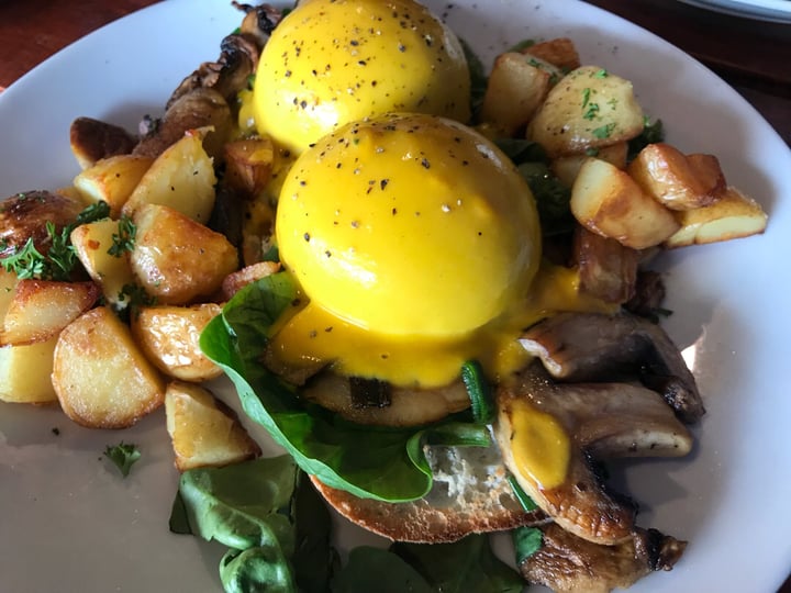 The Lillipad Cafe Sydney Glebe, Australia Eggs Benedict Review abillion