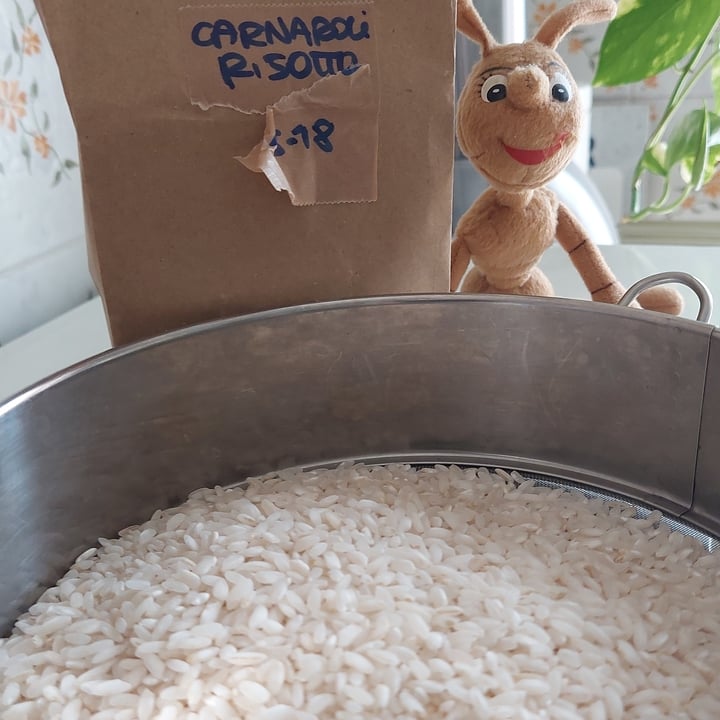 Sfuso' riso carnaroli Review abillion