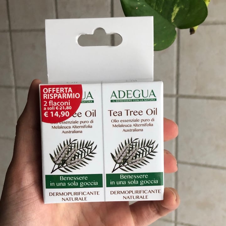 Adegua Tea tree oil Review abillion