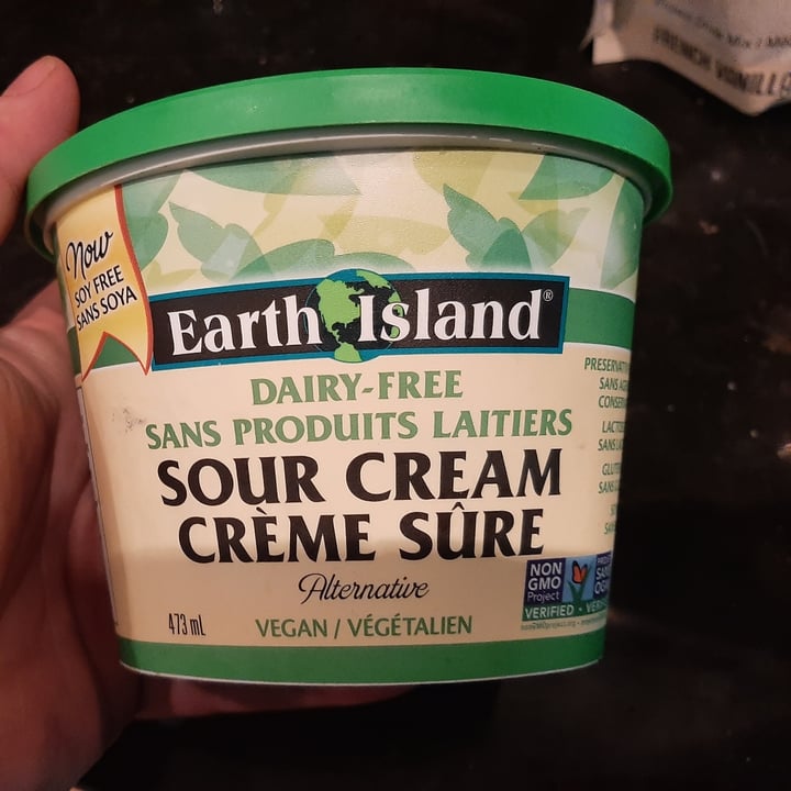 Earth Island Dairy free sour cream Review abillion