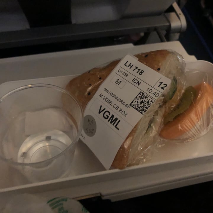 Lufthansa Vegan Sandwich Review abillion