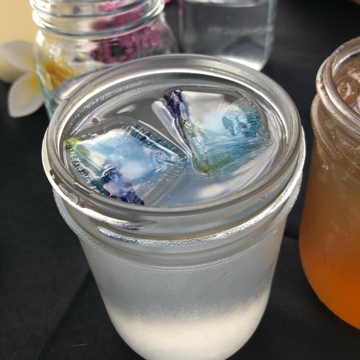 Moku Roots Coconut water Reviews abillion