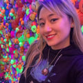 lovewins @lovewins profile image