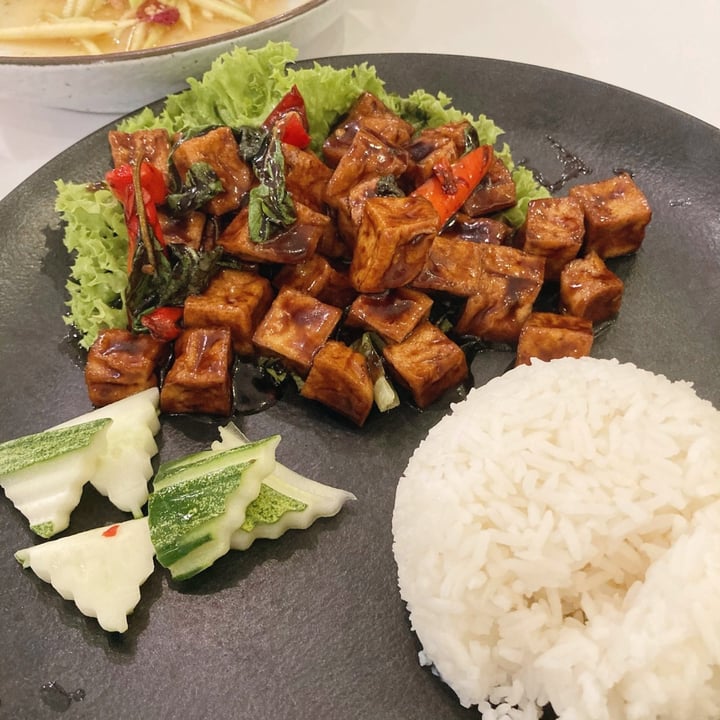 KC Lunch Collection abillion