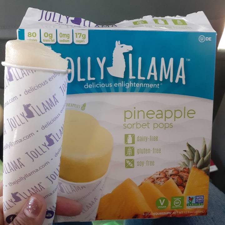 Jolly Llama Pineapple sorbet pops Reviews abillion