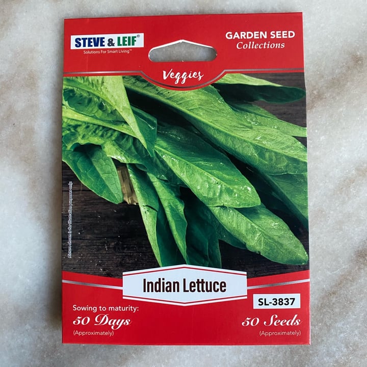 Steve & Leif Indian Lettuce Review abillion