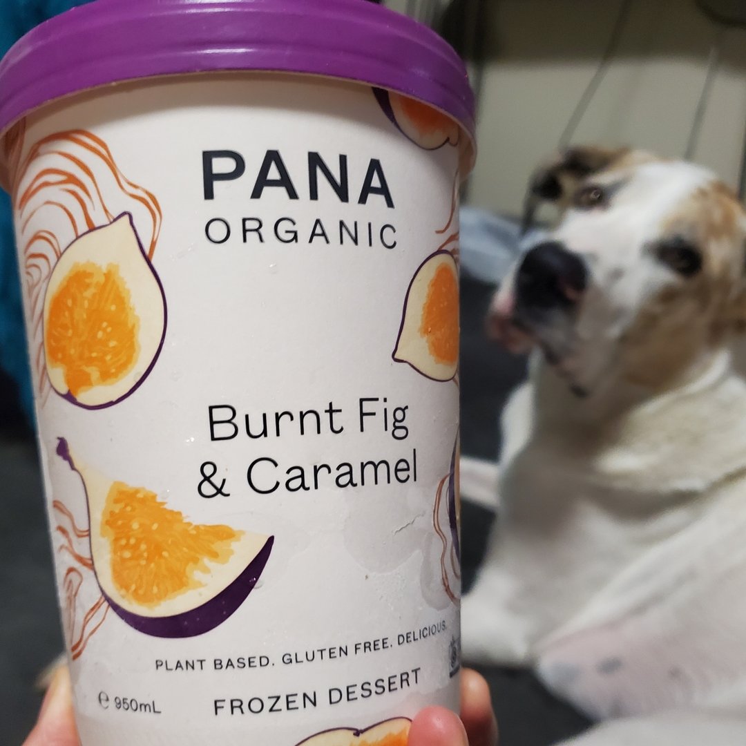 Pana Organic Burnt Fig Caramel frozen Reviews abillion