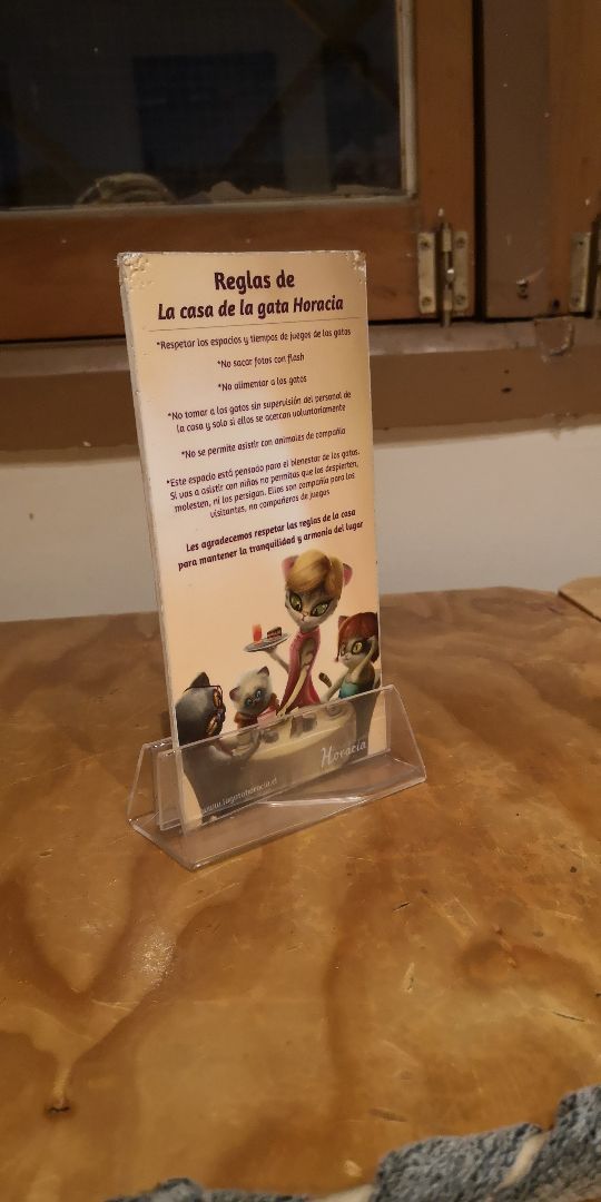 review photo of La Casa De La Gata Horacia Gato jazz shared by @frufru on 13 Jun 2019 - review