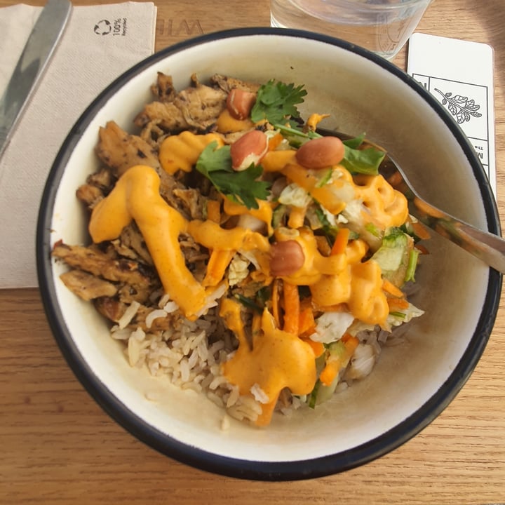 review photo of Wild & The Moon jack's bowl shared by @elibratti on 07 Oct 2022 - review