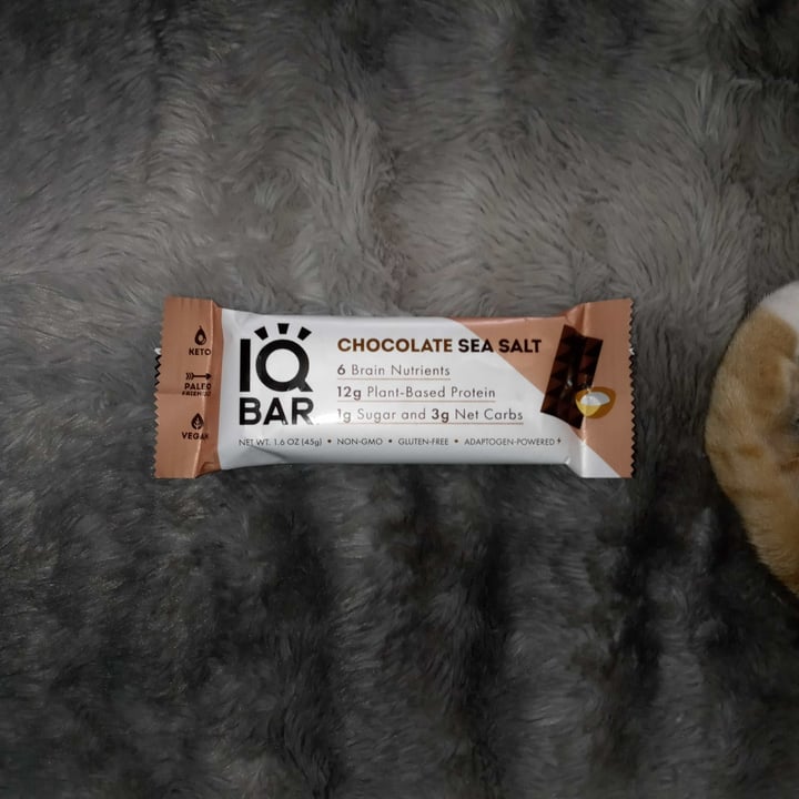 IQ Bar Chocolate Sea Salt Protein Bars Review abillion