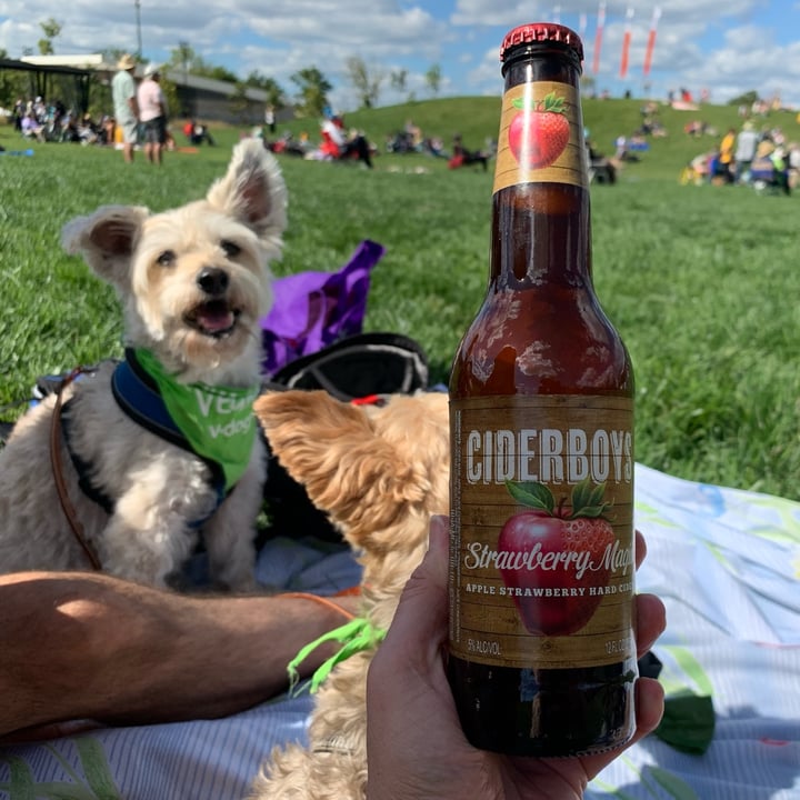 Ciderboys Strawberry Magic Review abillion