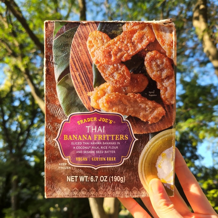 Trader Joe's Thai Banana Fritters Review abillion