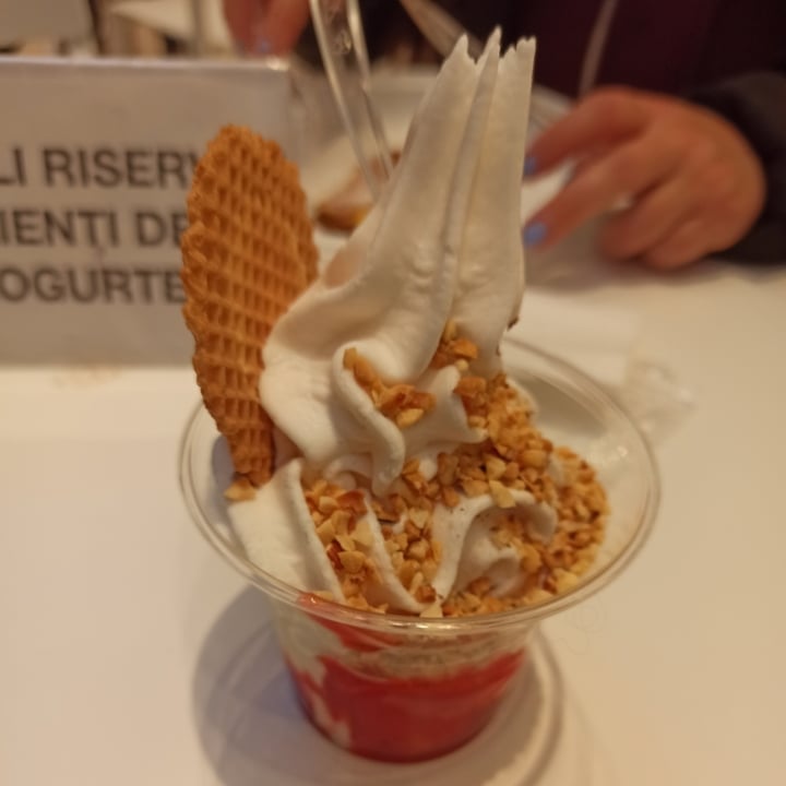 Yogofrutta Rozzano, Italy Frozen yogurt Review abillion