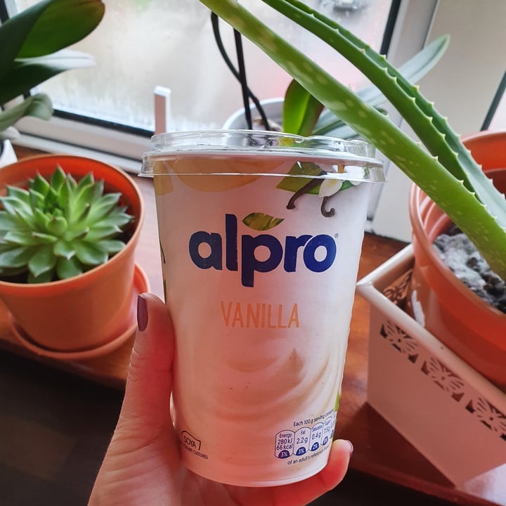 Alpro Soy Yogurt Vanilla Review abillion