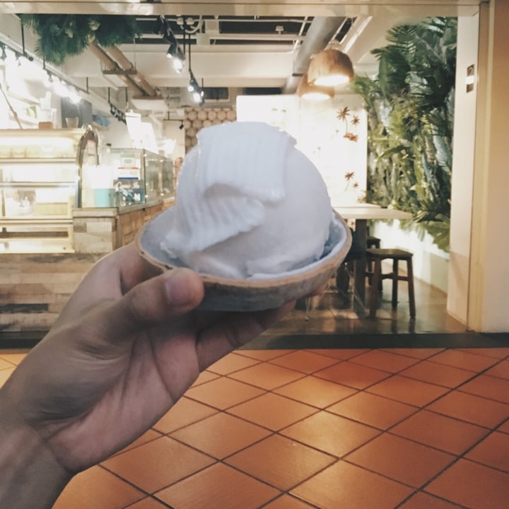 QOOLCO Outram, Singapore NonDairy Coconut Ice Cream Review abillion