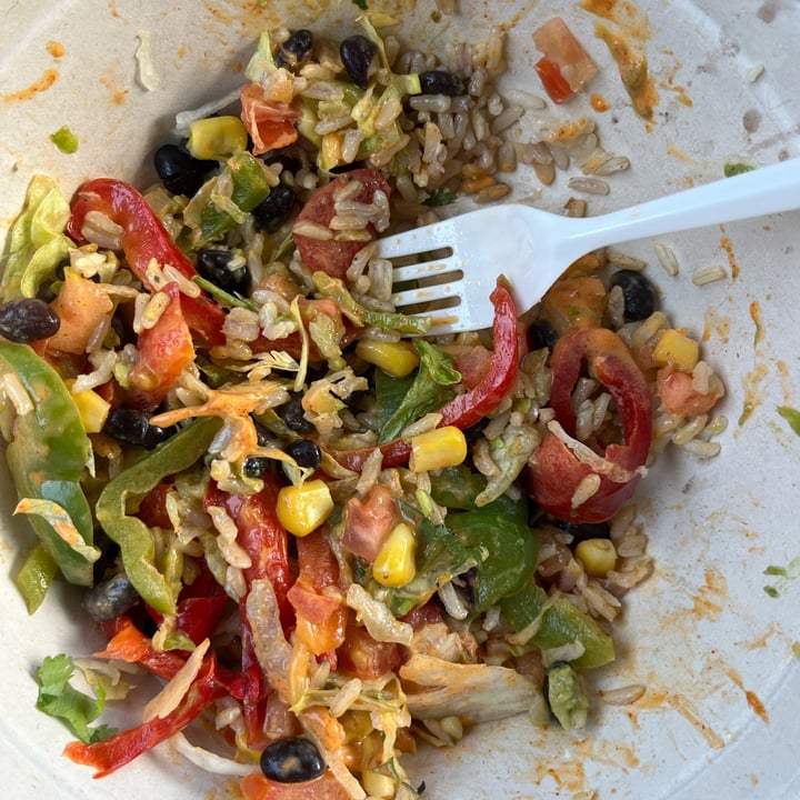 Quesada Burritos & Tacos Burrito Bowl Reviews abillion