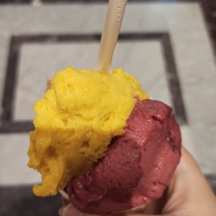 Gelateria La Romana Torino Italy Gelato Vegano Review Abillion gelateria-la-romana-torino-italy-gelato-vegano-review-abillion